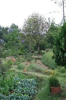 Namobuddha Resort Kathmandu